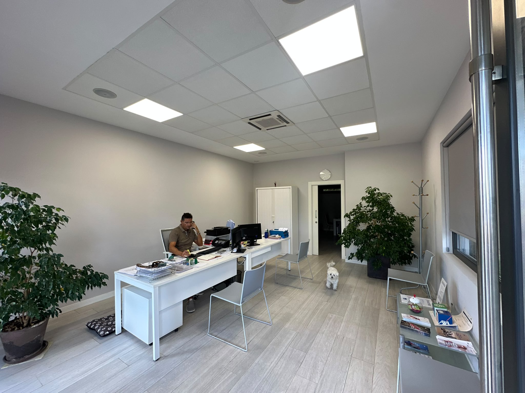 Interior de la oficina de Augusto Medrano en Cascajos, Logroño